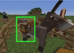 Placing a chest on a horse