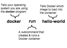 docker command