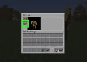 Dragging the horse’s armor